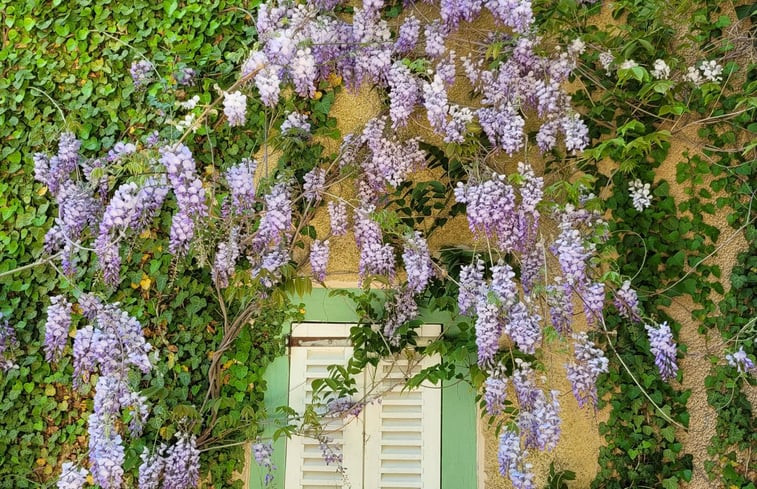 Natuurhuisje in Le Mont-Dieu