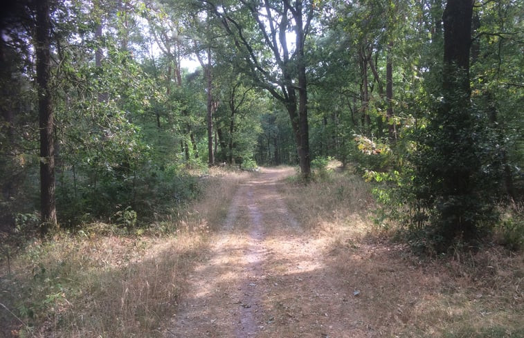 Natuurhuisje in Darp