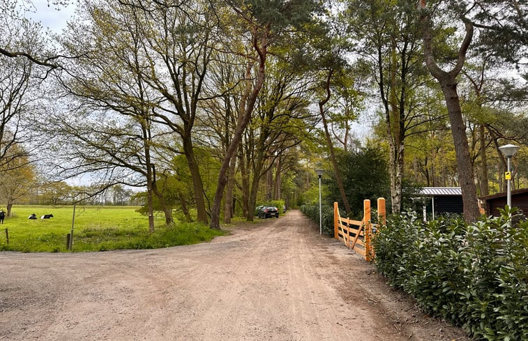 Natuurhuisje in Zuidwolde