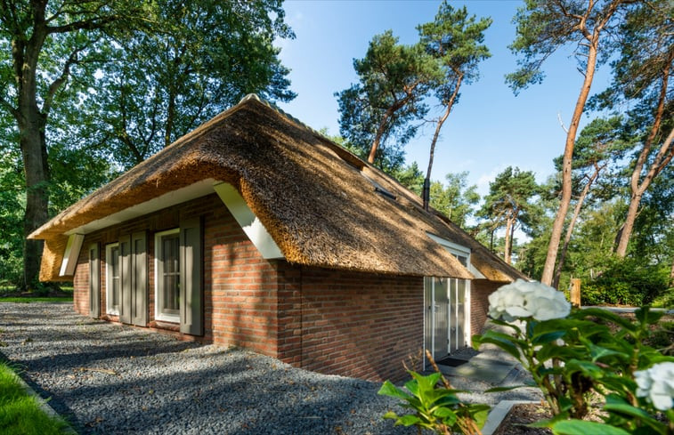 Natuurhuisje in Putten