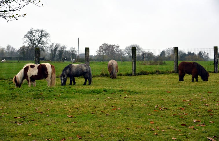 Natuurhuisje in Hombourg