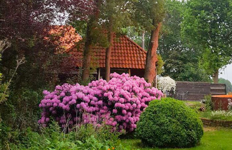 Natuurhuisje in Gasselternijveenschemond