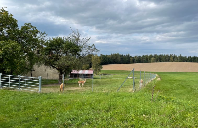 Natuurhuisje in Kemnath