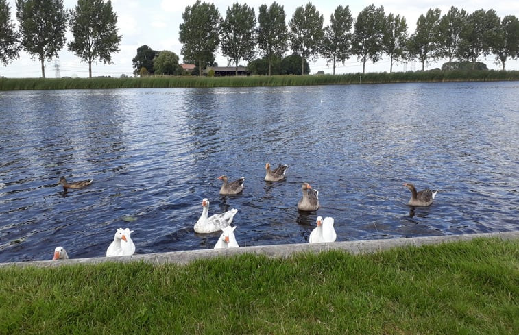 Natuurhuisje in IJsselmuiden