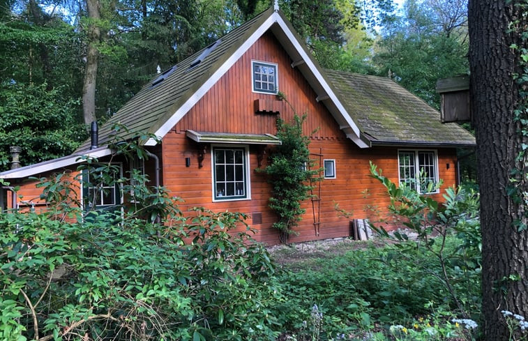 Natuurhuisje in Winterswijk Ratum