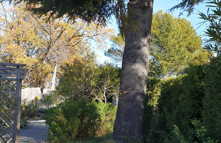 Natuurhuisje in CHATEAUNEUF GRASSE