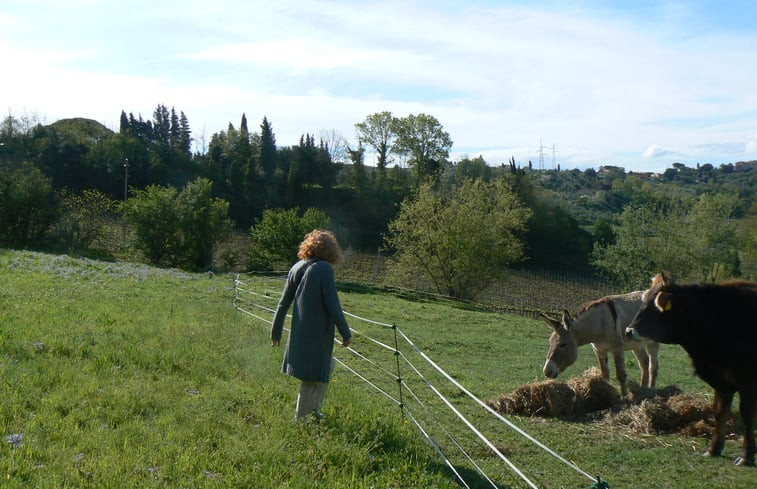 Natuurhuisje in TERRICCIOLA (pisa)