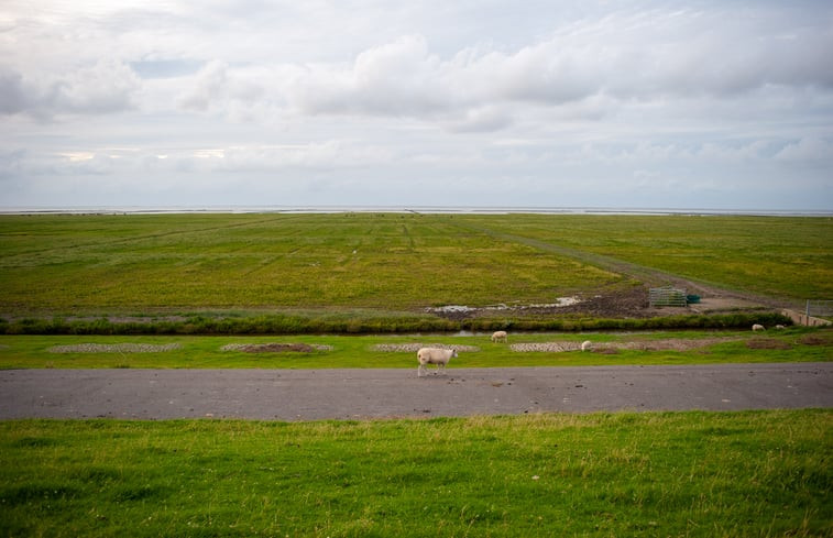 Natuurhuisje in Kloosterburen