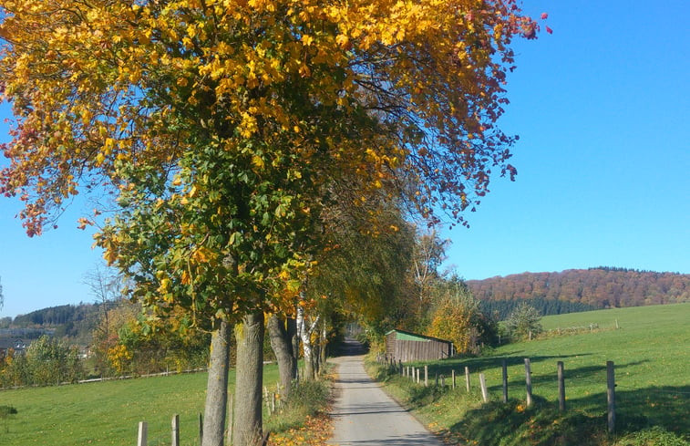 Natuurhuisje in Schmallenberg-Holthausen