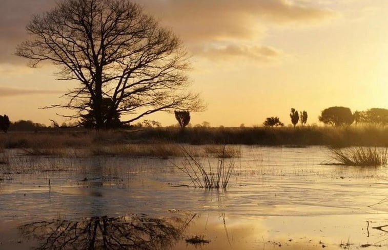 Natuurhuisje in Dwingeloo