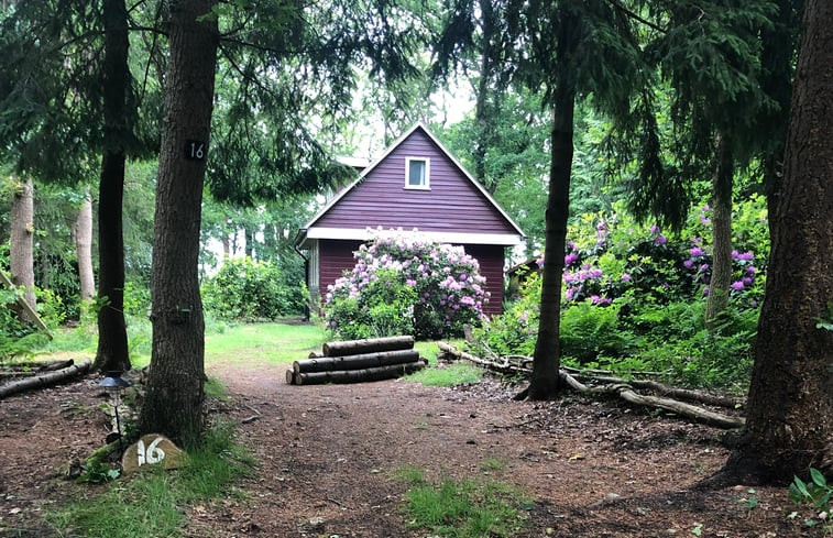 Natuurhuisje in Wateren