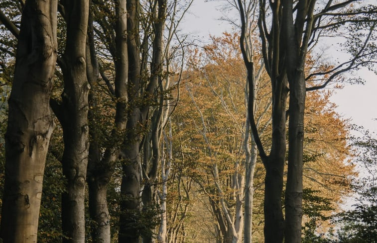 Natuurhuisje in Oudemirdum