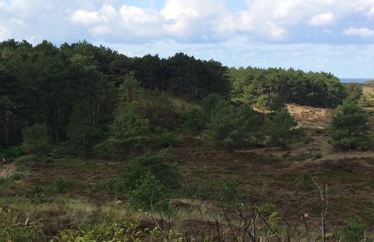 Natuurhuisje in Schoorl