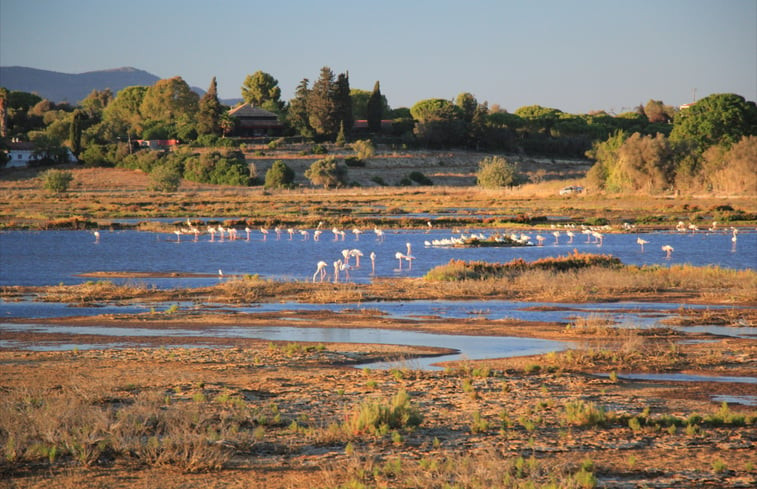 Natuurhuisje in Mexilhoeria Grande - Portimao