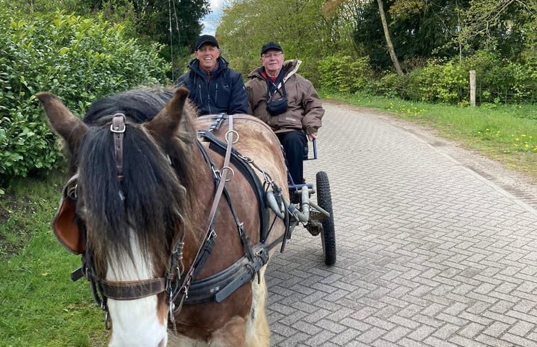 Natuurhuisje in Putten