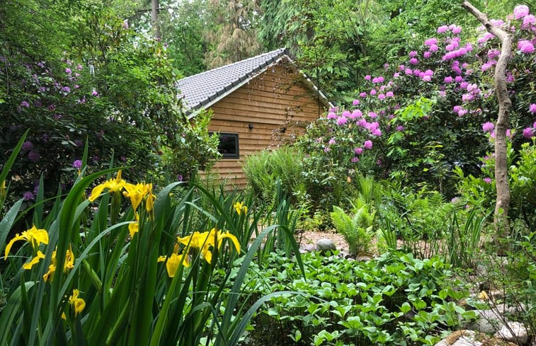 Natuurhuisje in Emst