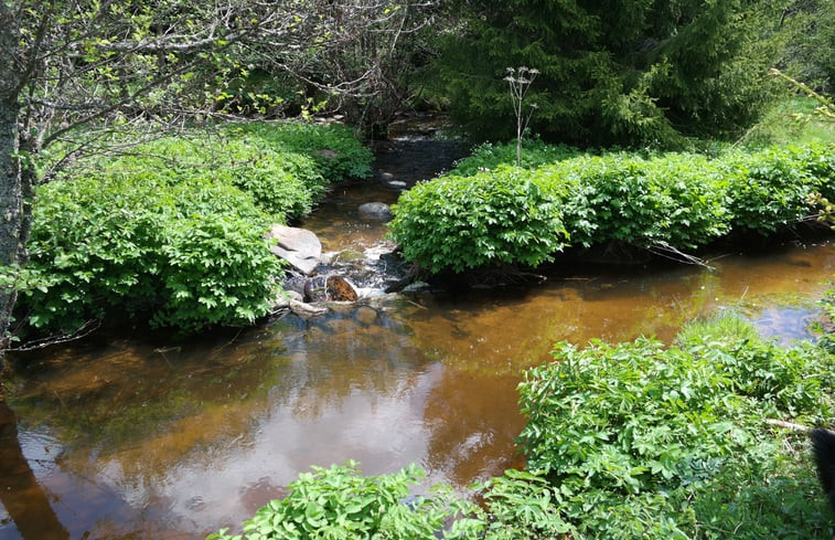 Natuurhuisje in Saint Bonnet le Chastel