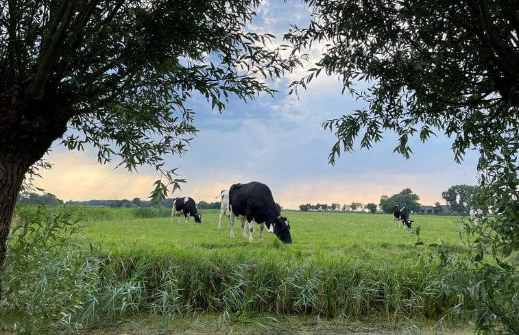 Natuurhuisje in Groningen