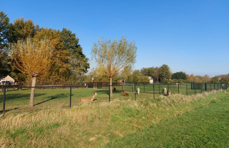 Natuurhuisje in Koewacht