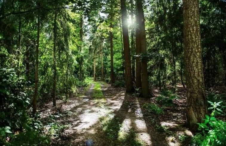 Natuurhuisje in Oisterwijk