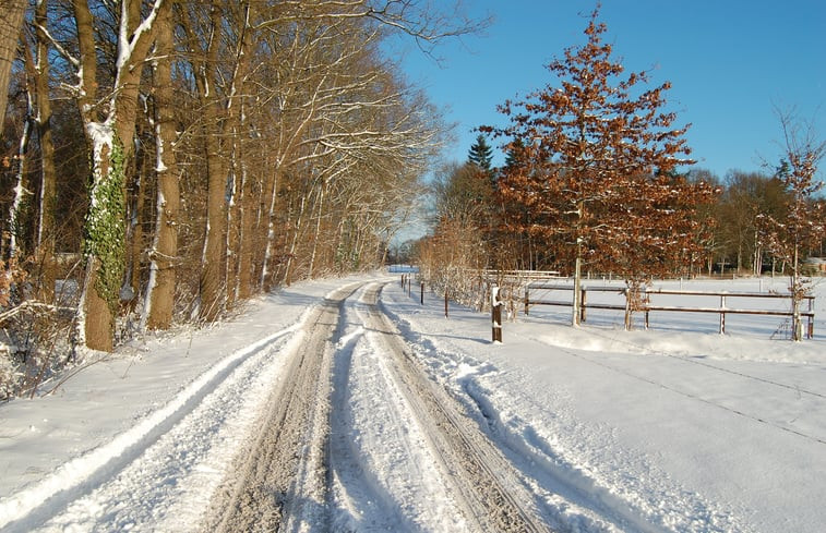 Natuurhuisje in Ruurlo