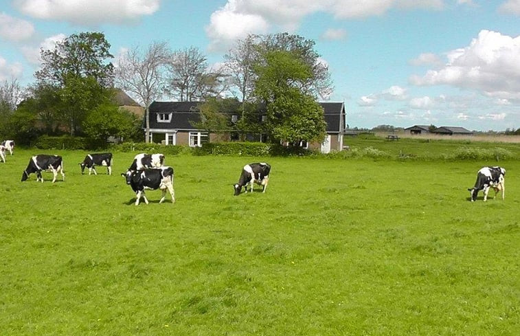 Natuurhuisje in Dirkshorn