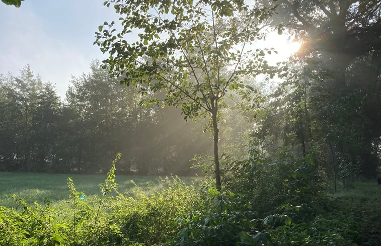 Natuurhuisje in Halle