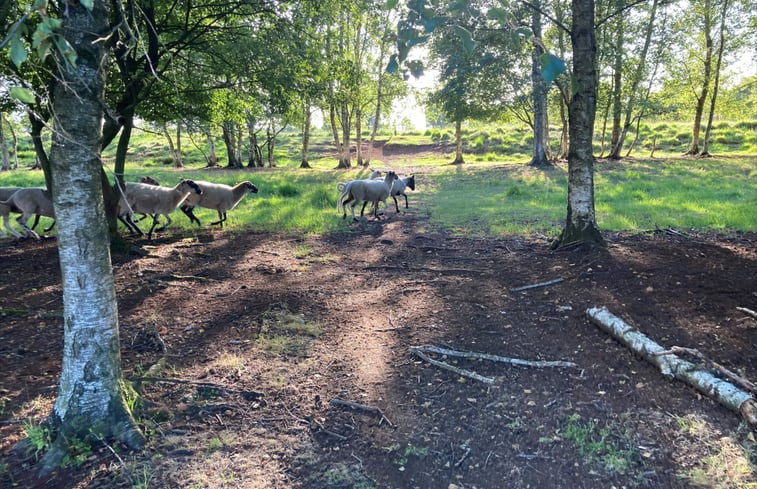 Natuurhuisje in Drenthe