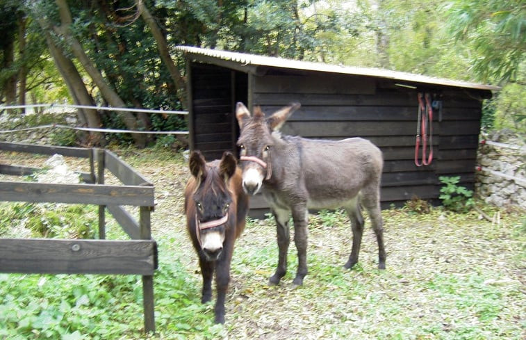 Natuurhuisje in St Nazaire de Valentane