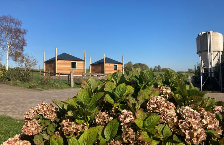 Natuurhuisje in Leidschendam