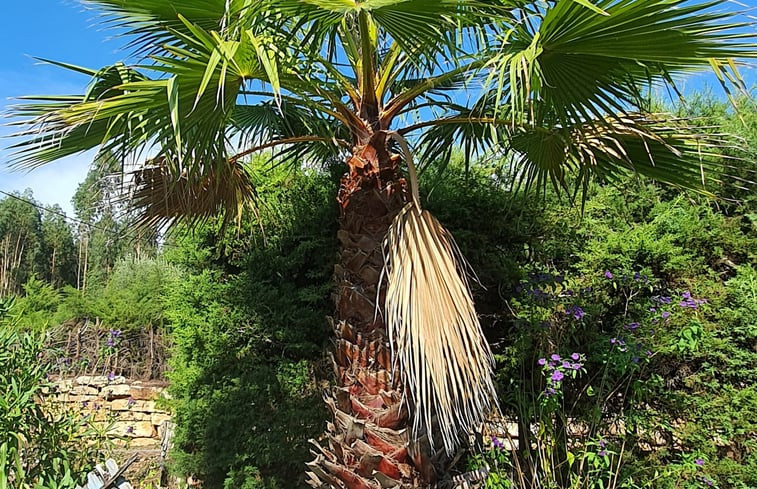 Natuurhuisje in Lameiras, Paio Mendes, Ferreira do Zêzere