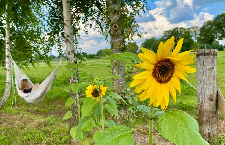 Natuurhuisje in Okkenbroek