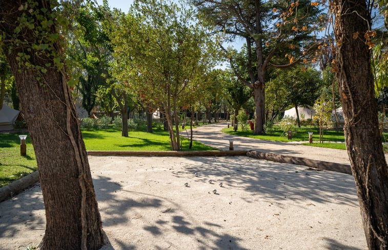 Natuurhuisje in Hyères