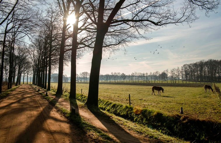 Natuurhuisje in Aalten