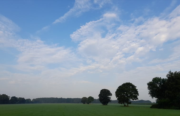 Natuurhuisje in De Wilp