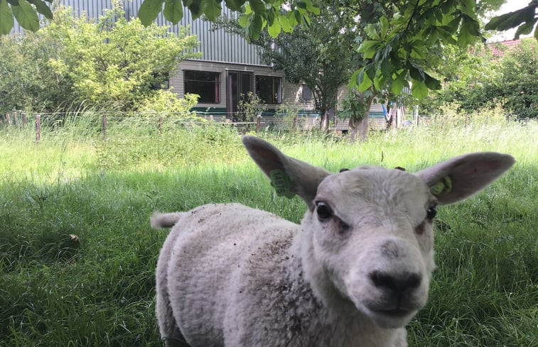 Natuurhuisje in Zierikzee