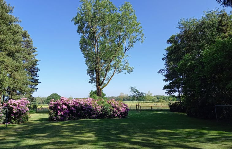 Natuurhuisje in Luyksgestel