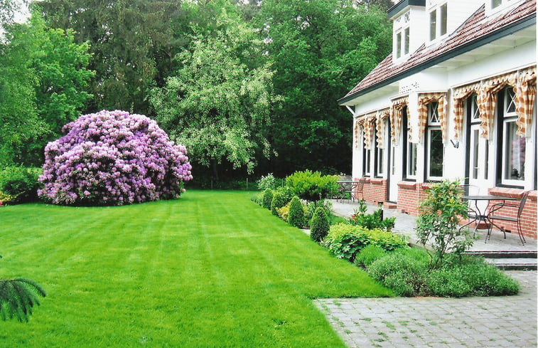 Natuurhuisje in Roden