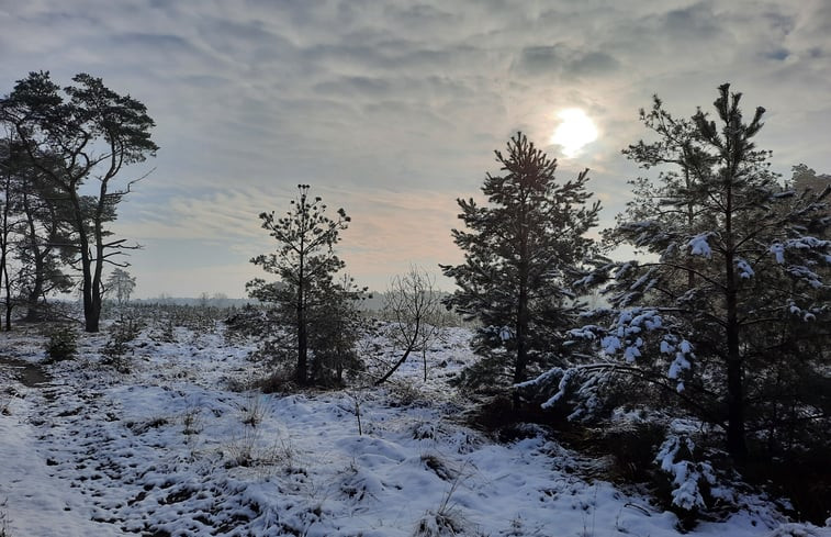 Natuurhuisje in Hechtel-Eksel