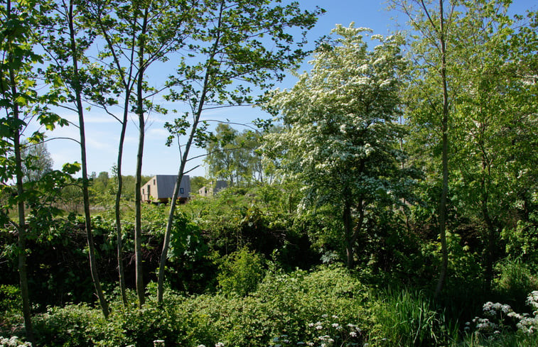 Natuurhuisje in Westergeest