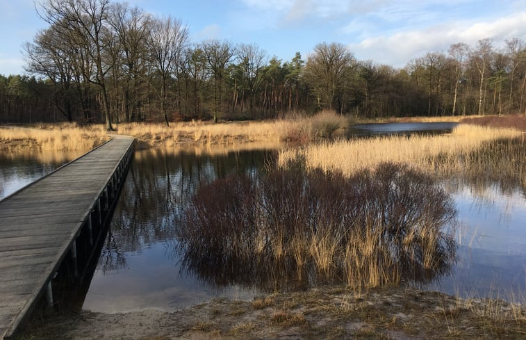 Natuurhuisje in Harfsen