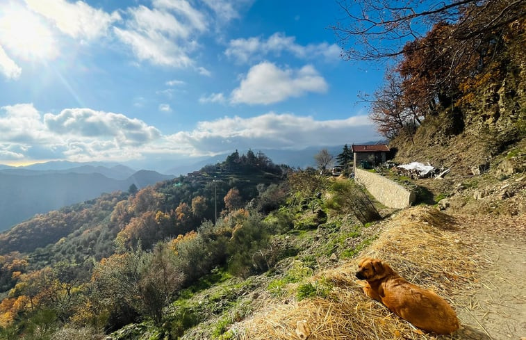 Natuurhuisje in Castel Vittorio (IM)