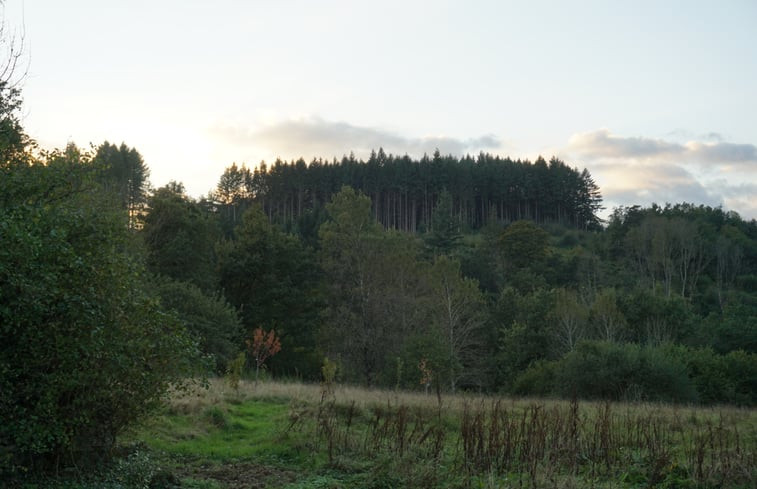 Natuurhuisje in Job