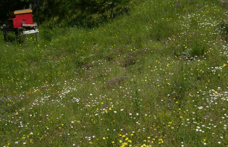 Natuurhuisje in Urbe