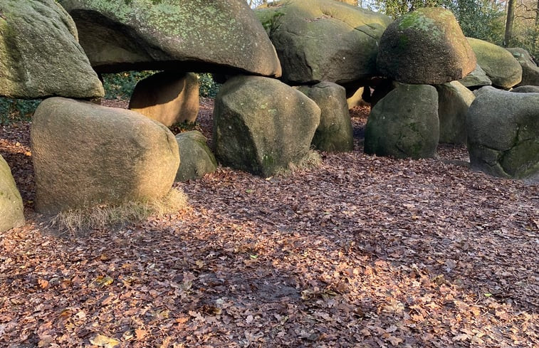 Natuurhuisje in Papenvoort