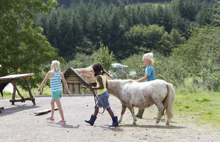 Natuurhuisje in Vernusse