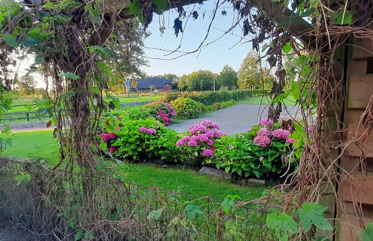 Natuurhuisje in Wijnjewoude