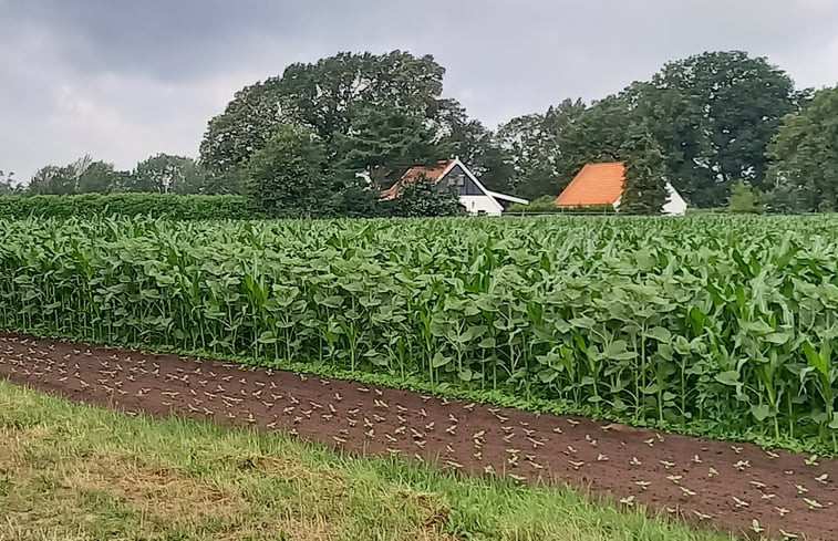 Natuurhuisje in Neugnadenfeld