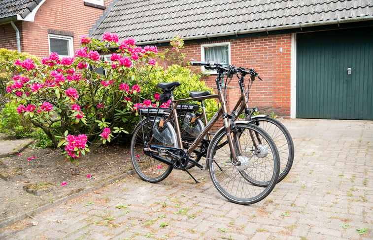 Natuurhuisje in Odoorn