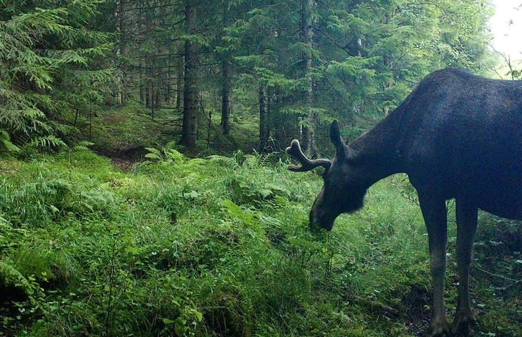 Natuurhuisje in Eksharad